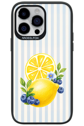 Fresh Flash 2.0 - Apple iPhone 14 Pro Max