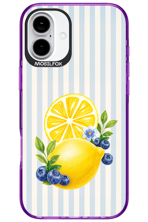 Fresh Flash 2.0 - Apple iPhone 16 Plus