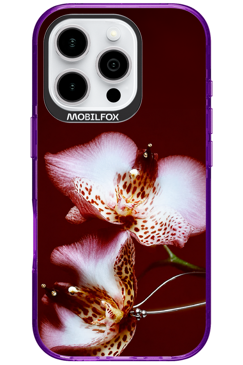 Leobloomy 2.0 - Apple iPhone 16 Pro
