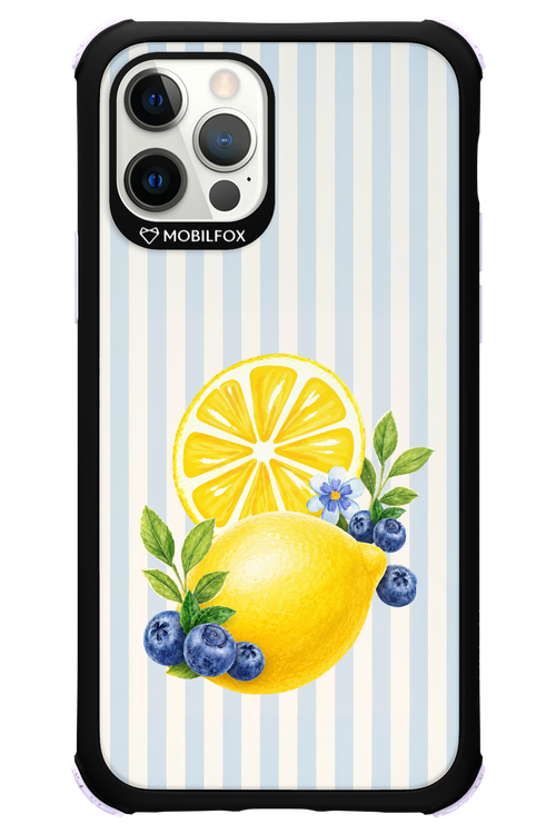 Fresh Flash 2.0 - Apple iPhone 12 Pro