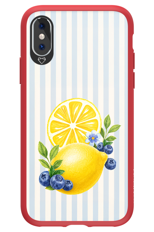 Fresh Flash 2.0 - Apple iPhone XS