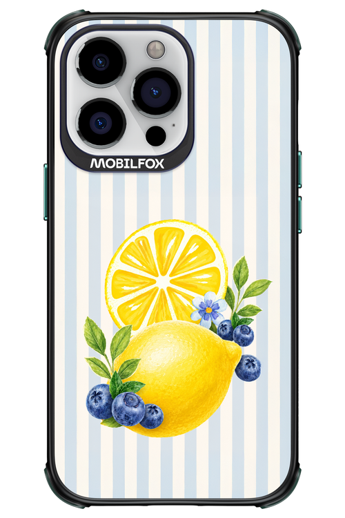 Fresh Flash 2.0 - Apple iPhone 13 Pro