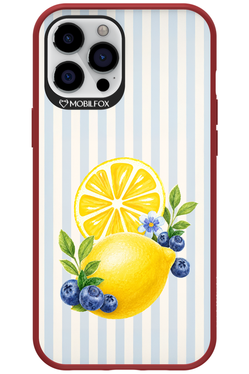 Fresh Flash 2.0 - Apple iPhone 12 Pro Max