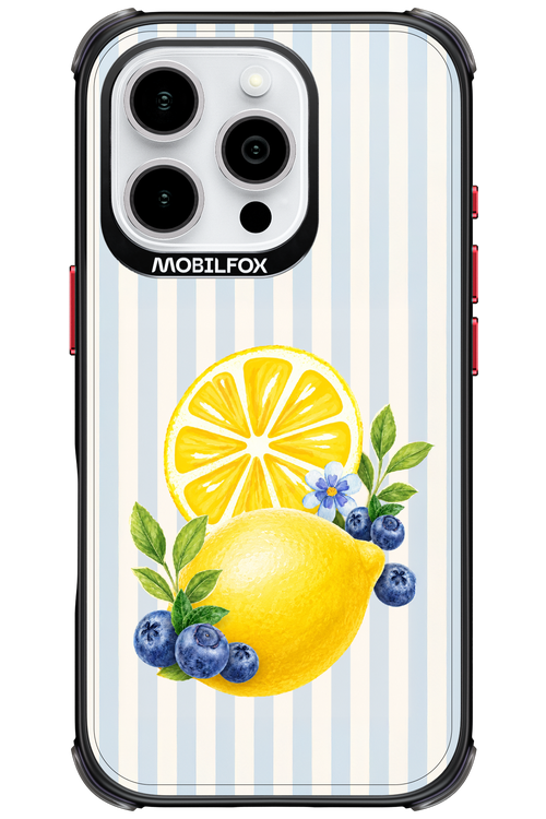 Fresh Flash 2.0 - Apple iPhone 16 Pro