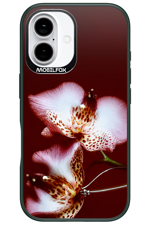 Leobloomy 2.0 - Apple iPhone 16