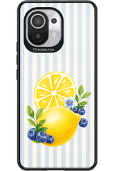 Fresh Flash 2.0 - Xiaomi Mi 11 5G