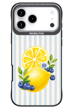 Fresh Flash 2.0 - Apple iPhone 17 Pro Max