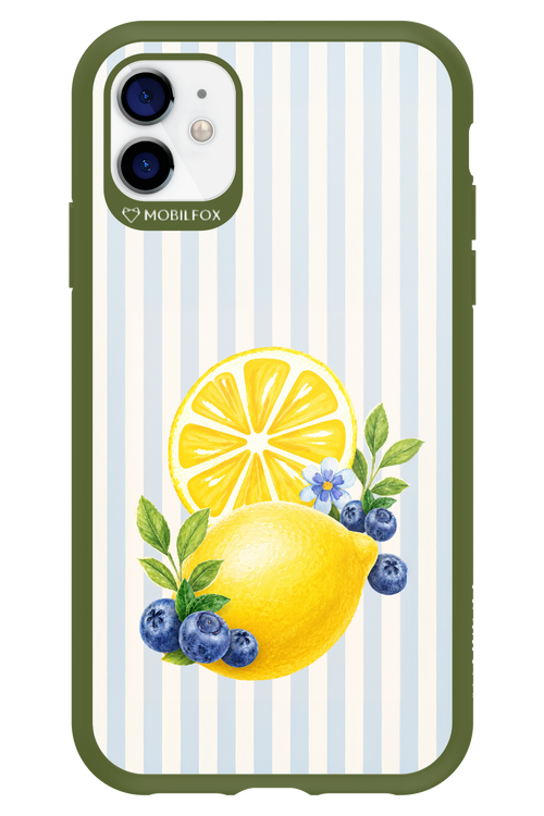 Fresh Flash 2.0 - Apple iPhone 11