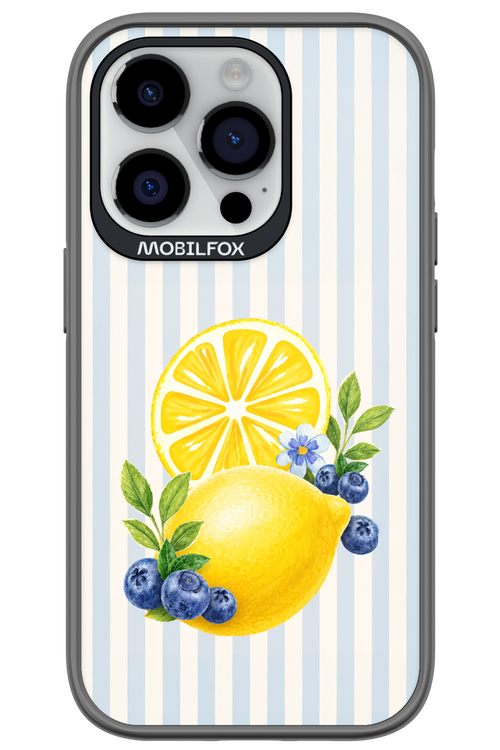 Fresh Flash 2.0 - Apple iPhone 14 Pro
