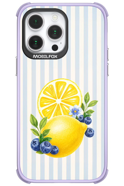 Fresh Flash 2.0 - Apple iPhone 14 Pro Max