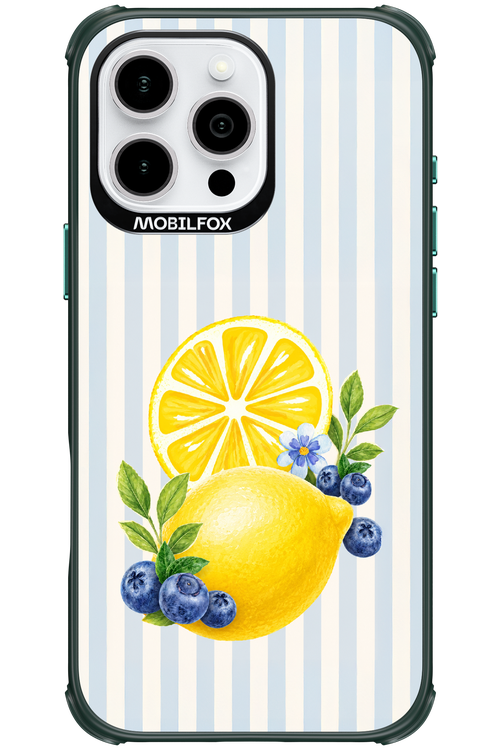 Fresh Flash 2.0 - Apple iPhone 16 Pro Max