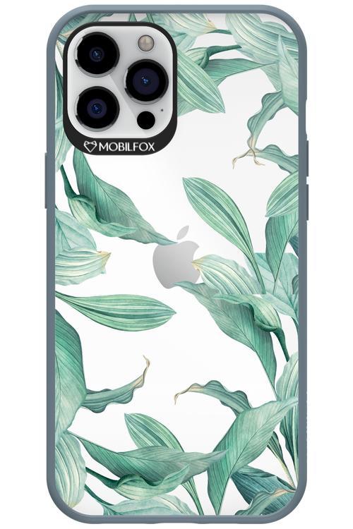 Greenpeace - Apple iPhone 12 Pro Max