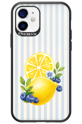 Fresh Flash 2.0 - Apple iPhone 12