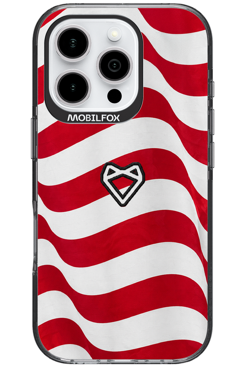 USA 2.0 - Apple iPhone 16 Pro