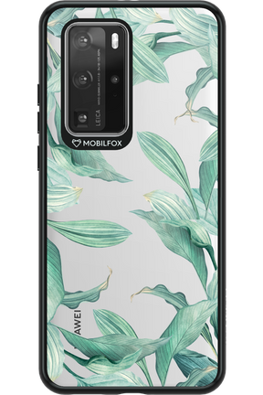 Greenpeace 2.0 - Huawei P40 Pro