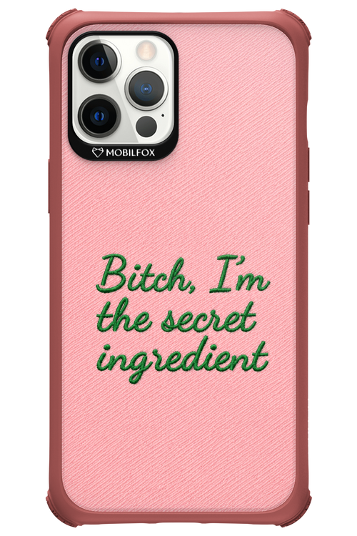 The Secret 2.0 - Apple iPhone 12 Pro Max