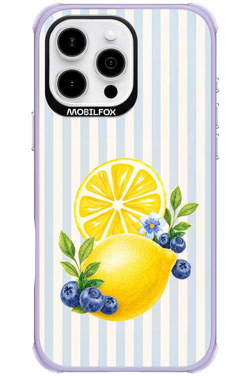 Fresh Flash 2.0 - Apple iPhone 16 Pro Max