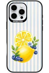 Fresh Flash 2.0 - Apple iPhone 16 Pro Max
