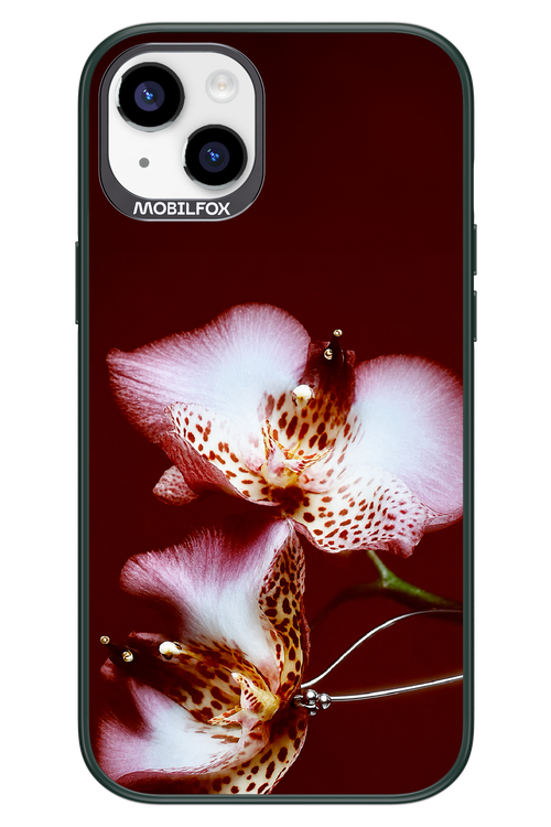 Leobloomy 2.0 - Apple iPhone 14 Plus
