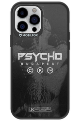 X-Ray - Apple iPhone 13 Pro Max