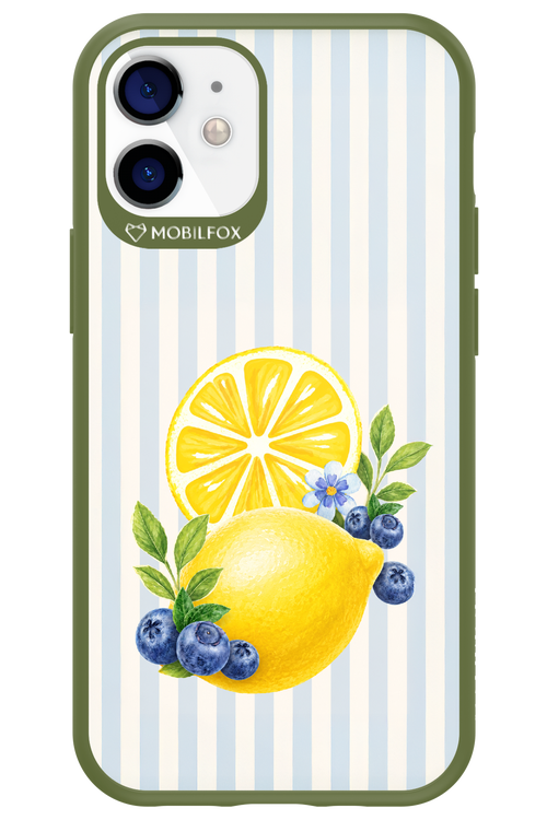 Fresh Flash 2.0 - Apple iPhone 12 Mini
