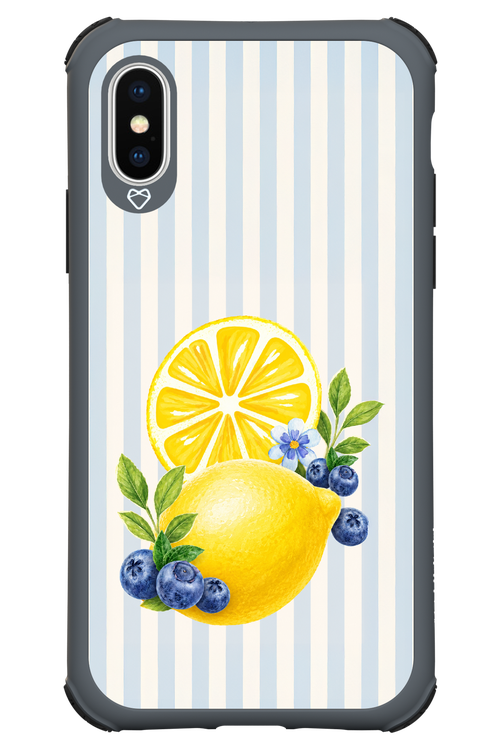 Fresh Flash 2.0 - Apple iPhone X