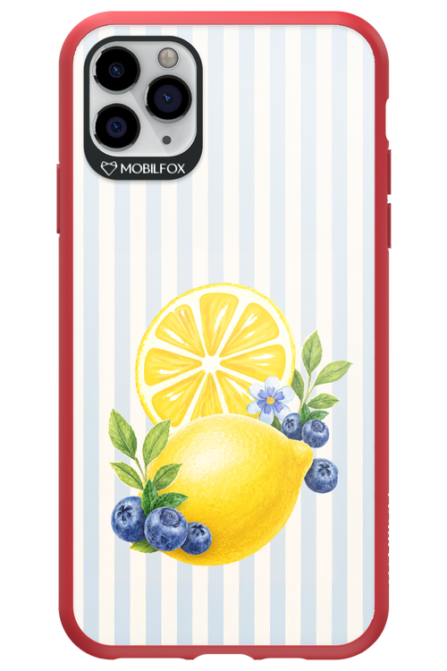 Fresh Flash 2.0 - Apple iPhone 11 Pro Max