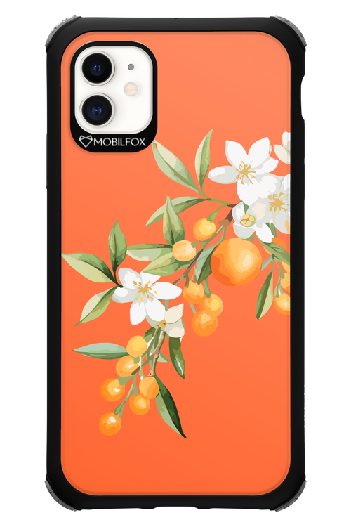 Amalfi Oranges - Apple iPhone 11