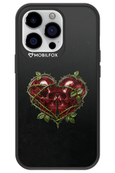 Omen Kiss 2.0 - Apple iPhone 13 Pro