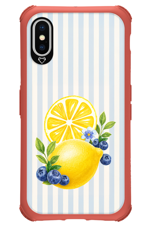 Fresh Flash 2.0 - Apple iPhone XS