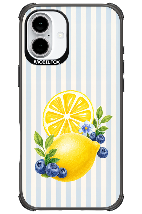 Fresh Flash 2.0 - Apple iPhone 16 Plus