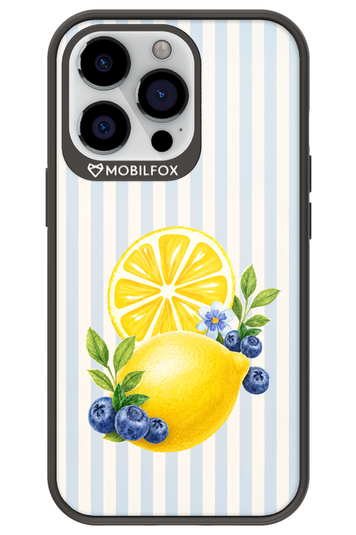 Fresh Flash 2.0 - Apple iPhone 13 Pro