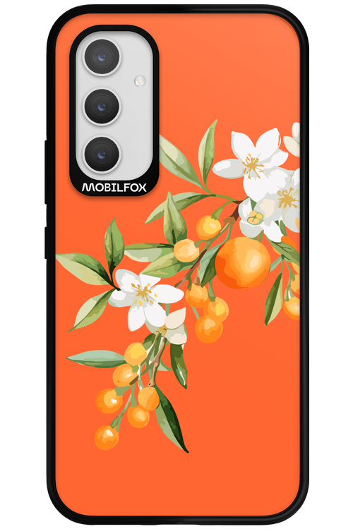 Amalfi Oranges - Samsung Galaxy A54