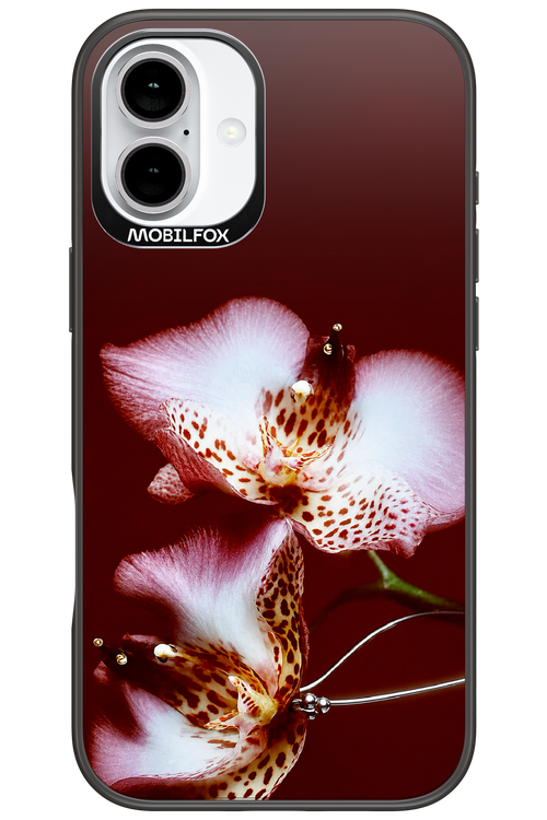 Leobloomy 2.0 - Apple iPhone 16 Plus
