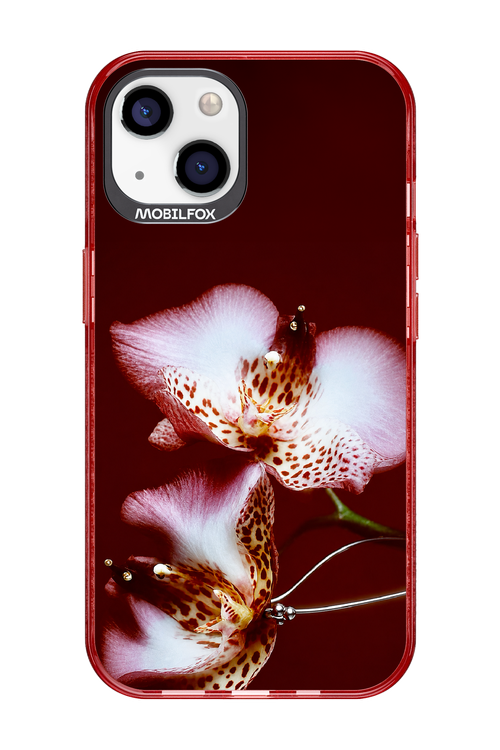 Leobloomy 2.0 - Apple iPhone 13
