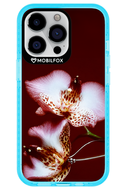 Leobloomy 2.0 - Apple iPhone 13 Pro