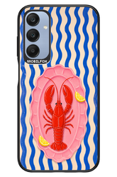 LOBSTER 2.0 - Samsung A25