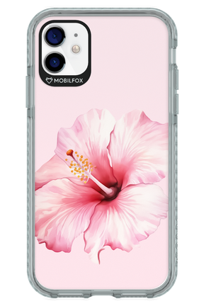 HibiPinky - Apple iPhone 11