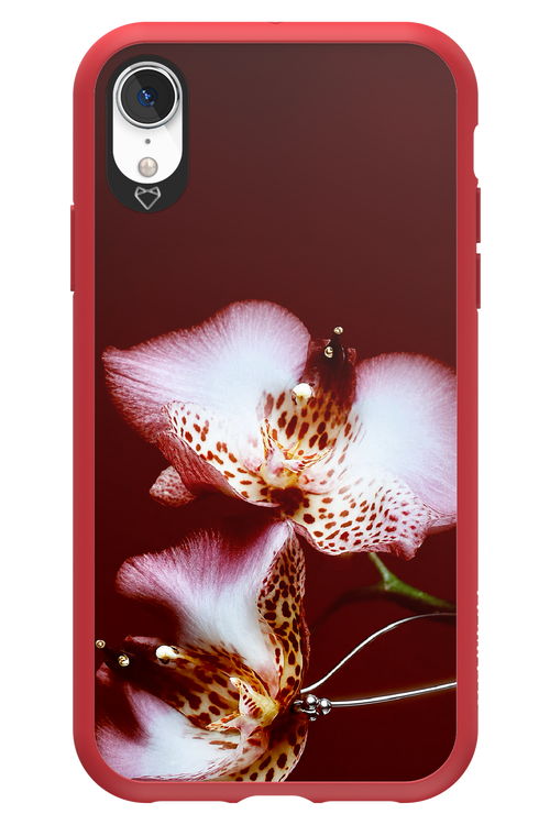 Leobloomy 2.0 - Apple iPhone XR