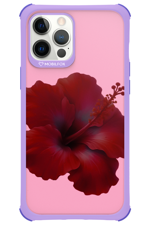 HibiGundy - Apple iPhone 12 Pro Max