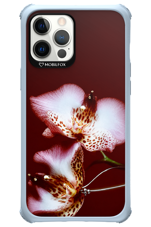 Leobloomy 2.0 - Apple iPhone 12 Pro Max