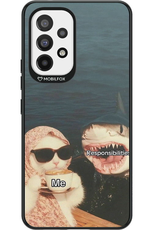 Responsibilities - Samsung Galaxy A53