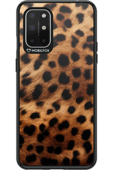 Cheetah 2.0 - OnePlus 8T
