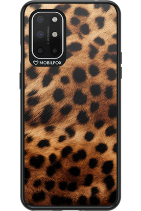 Cheetah 2.0 - OnePlus 8T
