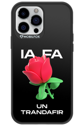 IA Rose Black - Apple iPhone 13 Pro Max