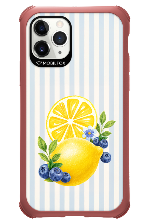 Fresh Flash 2.0 - Apple iPhone 11 Pro