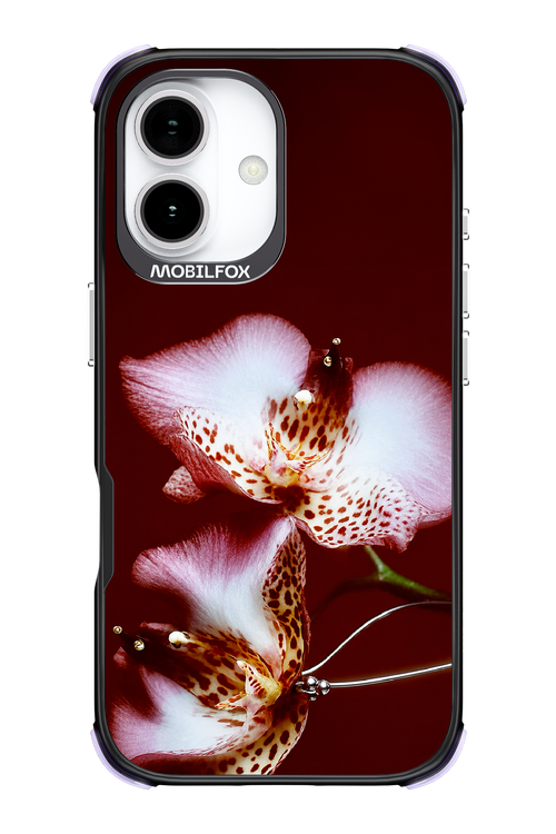 Leobloomy 2.0 - Apple iPhone 17