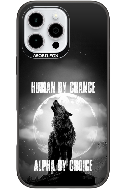 Alpha 2.0 - Apple iPhone 16 Pro Max