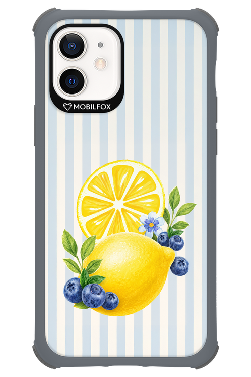 Fresh Flash 2.0 - Apple iPhone 12