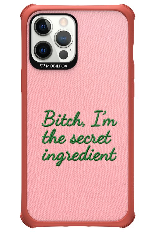 The Secret 2.0 - Apple iPhone 12 Pro Max